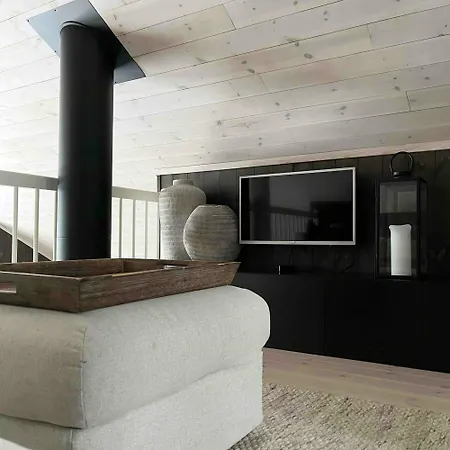 Beautiful Forest Near Trails