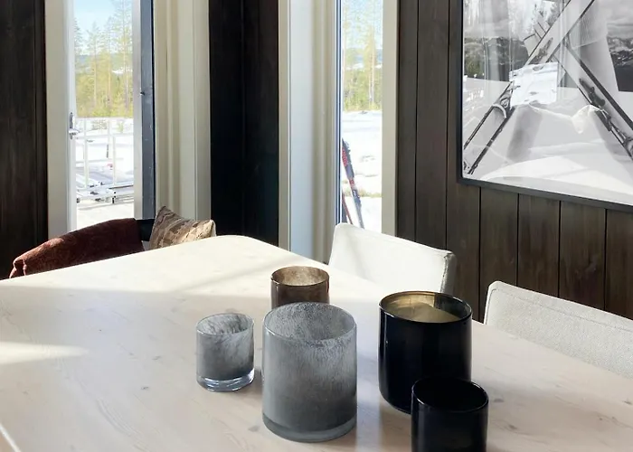 Beautiful Forest Near Trails