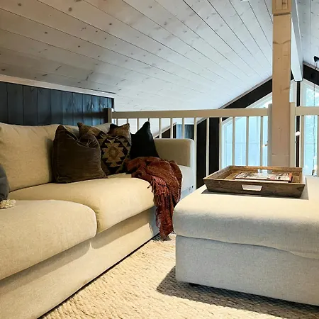 Beautiful Forest Near Trails