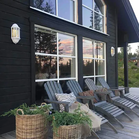 Beautiful Forest Near Trails