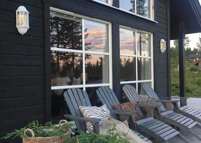 Beautiful Forest Near Trails